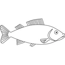 Fish - Free printable coloring pages