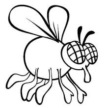 Fly - Free printable coloring pages