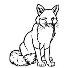 Fox - Free printable coloring pages