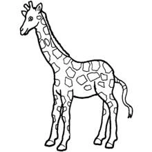 Giraffe standing calmly coloring page