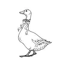 Goose wearing a ribbon around its neck coloring page