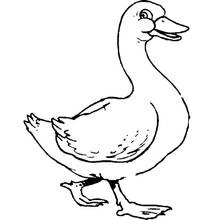 Goose walking with wings slightly raised coloring page