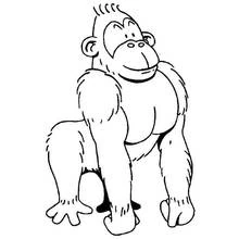 Gorilla standing on all fours coloring page
