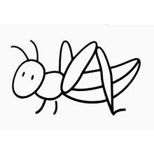 Grasshopper - Free printable coloring pages