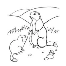 Groundhog - Free printable coloring pages