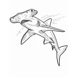 Hammerhead shark - Free printable coloring pages