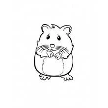 Hamster standing upright, paws near round belly coloring page