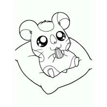 Hamster eating a sunflower seed coloring page