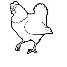 Hen walking with raised tail coloring page