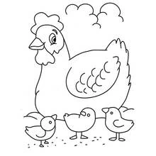 Hen with three little chicks coloring page