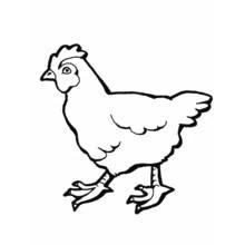Hen walking in profile view coloring page