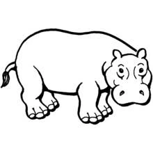Hippopotamus standing calmly coloring page