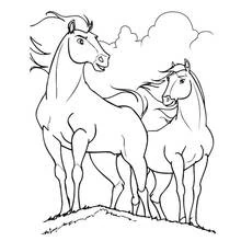 Horse standing with a companion on a hill coloring page