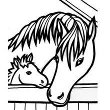 Horse and foal looking over the stable door coloring page