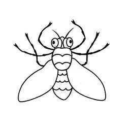 Insect - Free printable coloring pages