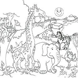 Jungle - Free printable coloring pages