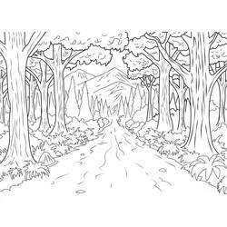 Path through a jungle forest coloring page