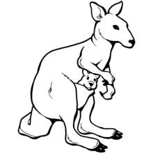 Kangaroo - Free printable coloring pages