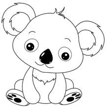 Koala - Free printable coloring pages