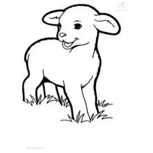 Lamb standing in the grass coloring page