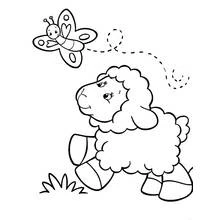 Lamb walking with a butterfly coloring page