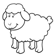 Lamb standing with a fluffy woolly coat coloring page