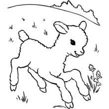 Lamb jumping in a meadow coloring page