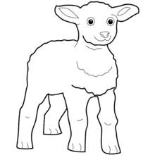 Lamb standing with big eyes coloring page