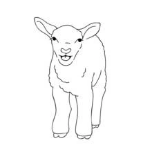 Lamb standing and looking forward coloring page