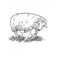 Lamb nursing under its mother sheep coloring page