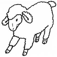 Lamb walking with fluffy wool coloring page