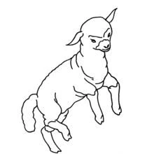 Lamb jumping playfully coloring page