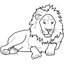 Lion lying down with a large mane coloring page