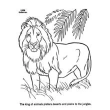 Lion standing among tall grass and palm leaves coloring page