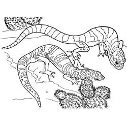 Lizard - Free printable coloring pages