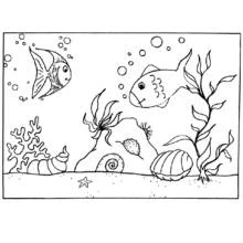 Marine Animals - Free printable coloring pages