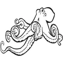 Octopus with curling tentacles coloring page