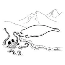 Octopus meeting a seal on an ice floe coloring page