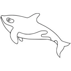 Orca swimming with a curved body coloring page
