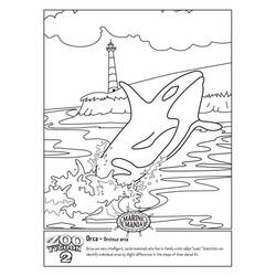 Orca - Free printable coloring pages