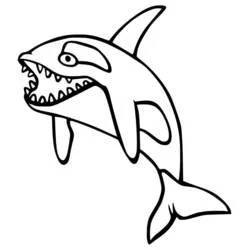 Orca with wide open jaws coloring page