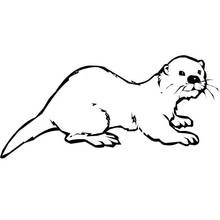 Otter - Free printable coloring pages