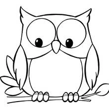 Owl - Free printable coloring pages