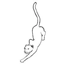 Panther crouching low coloring page