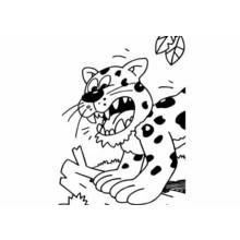 Panther roaring on a branch coloring page