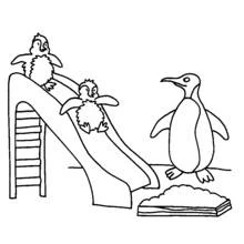 Penguin chicks playing on a slide coloring page