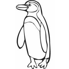 Penguin standing tall coloring page
