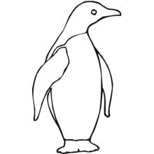 Penguin standing upright coloring page