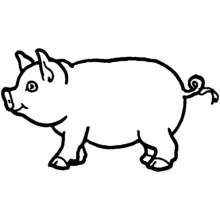 Pig - Free printable coloring pages