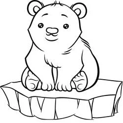 Polar Bear - Free printable coloring pages